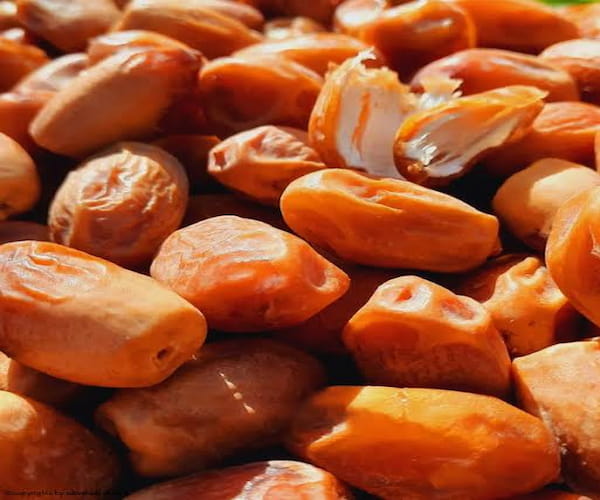 تصویر 3 از خرما زاهدی بدون هسته آماده مصرف روزانه